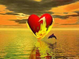 love love